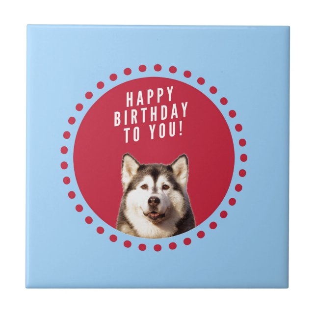 Cute Siberian Husky Happy Birthday blue red dots Ceramic Tile (Front)