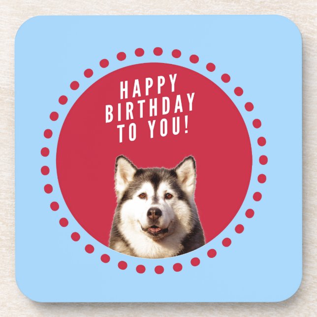 Cute Siberian Husky Happy Birthday blue red dots Coaster (Front)