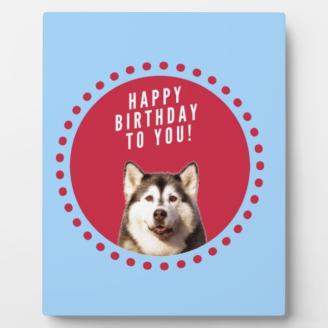 Cute Siberian Husky Happy Birthday blue red dots Plaque (Front)