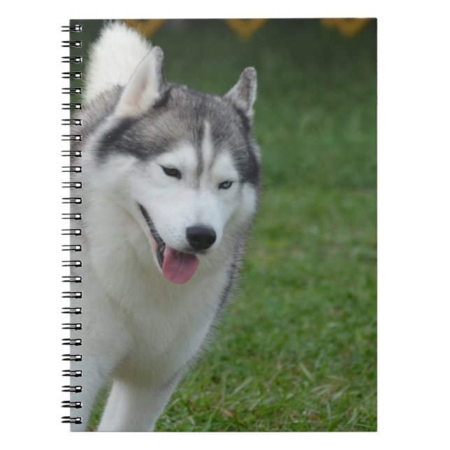 Cute Siberian Husky Notebook (Front)