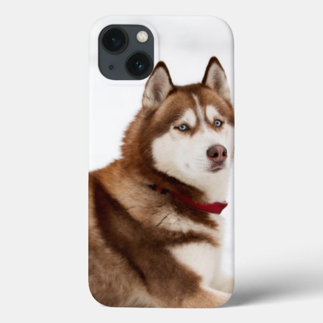 Cute Siberian Husky Portrait Case-Mate iPhone Case (Back)