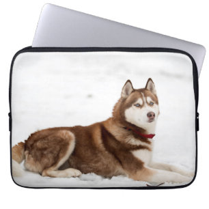Cute Siberian Husky Portrait Laptop Sleeve