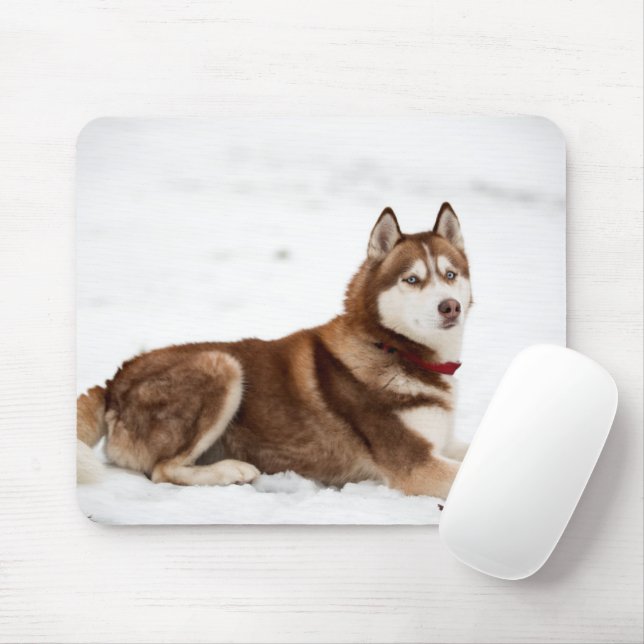 Cute Siberian Husky Portrait Mouse Pad (With Mouse)