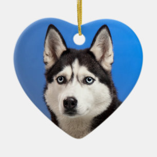 Cute Siberian Husky Puppy Dog Ceramic Ornament