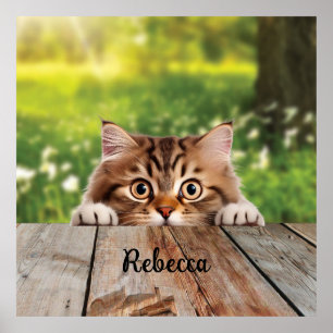 Cute Siberian Peek Cat Poster