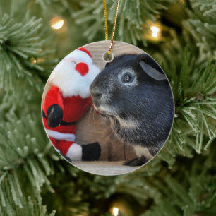 Cute Silver Fox Guinea PIg and Santa Claus Ceramic Tree Decoration