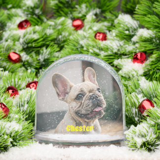 Cute Simple First Name Pet Dog Photo Typography Snowglobe