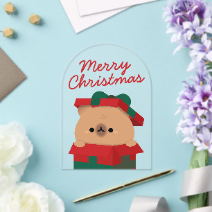 Cute Simple Fun Merry Christmas Acrylic Invitations