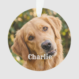 Cute Simple Modern Custom Pet Ornament
