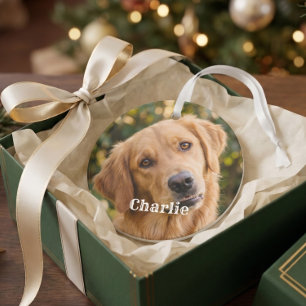 Cute Simple Modern Custom Pet Ornament