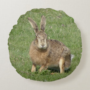 Cute Sitting Hare Close up Round Pillow