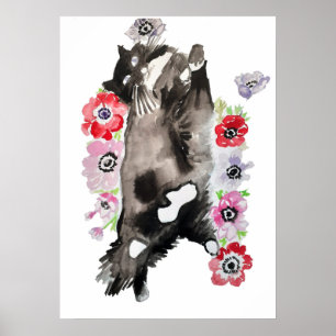Cute Sleeping Black White Tuxedo Cat Cats Poster