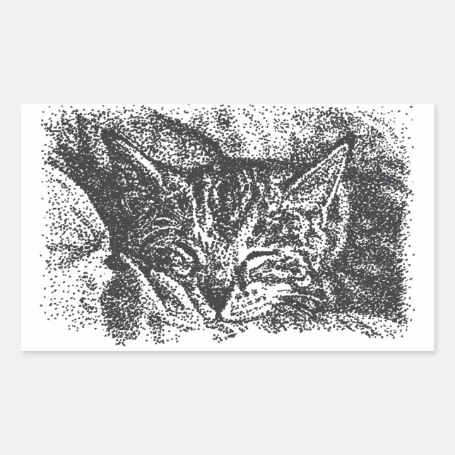 Cute Sleeping Cat Drawing Rectangular Sticker (Front)