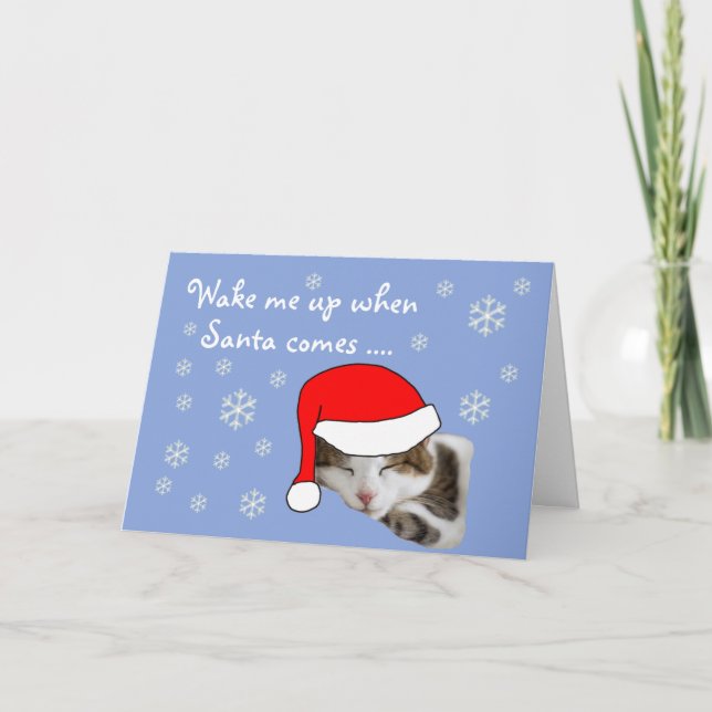 Cute Sleeping Cat Santa Hat Snowy Christmas Holiday Card (Front)