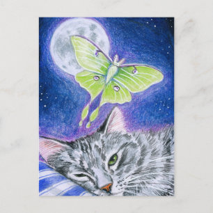 Cute Sleeping Cat with Luna Moth, Moon postcard