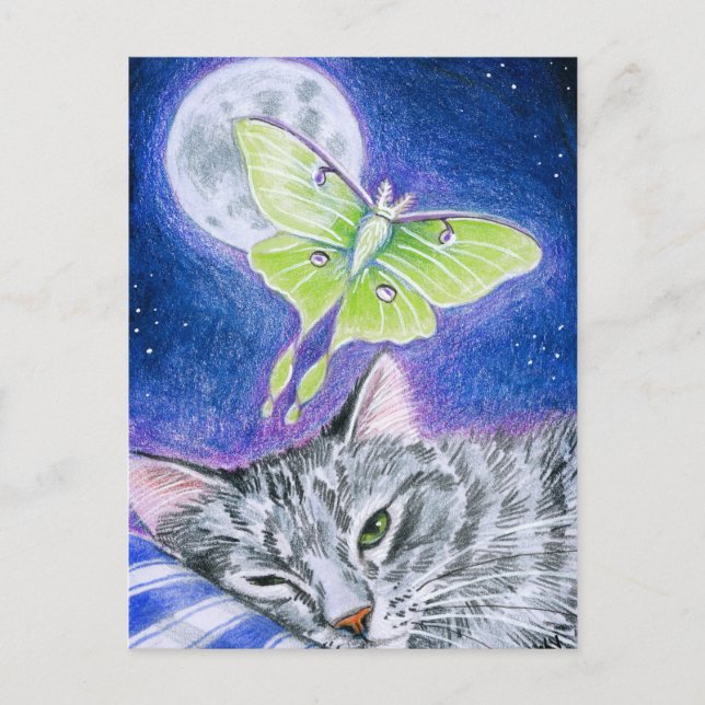 Cute Sleeping Cat with Luna Moth, Moon postcard (Front)