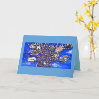 Cute Sleeping Cats in Tree  Card