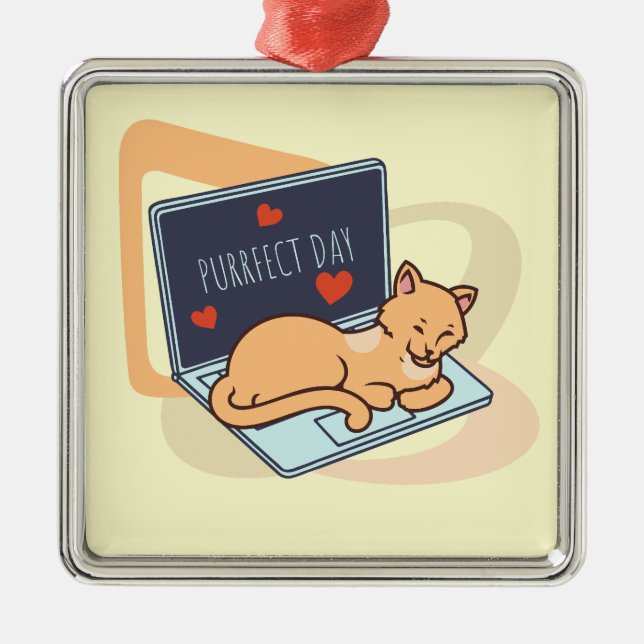 Cute sleeping computer cat metal ornament (Front)