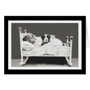 Cute Sleeping Dogs by Harrier Whittier Frees