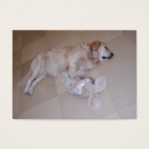 Cute Sleeping Golden Retriever  With Toy Rabbit