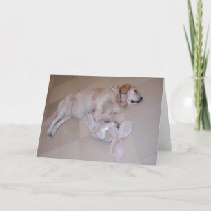 Cute Sleeping Golden Retriever  With Toy Rabbit Holiday Card