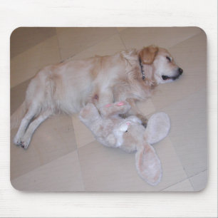 Cute Sleeping Golden Retriever With Toy Rabbit Mouse Pad