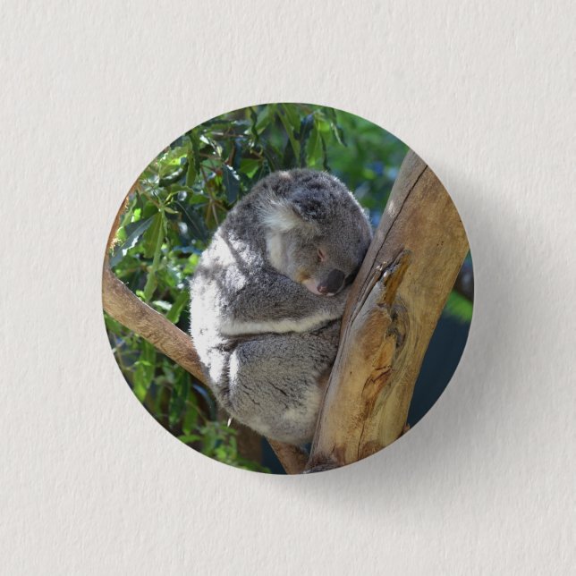 Cute Sleeping Koala in Tree 3 Cm Round Badge (Front)