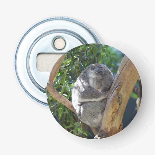 Cute Sleeping Koala in Tree Bottle Opener (Front)