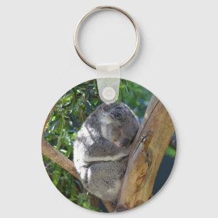 Cute Sleeping Koala in Tree Key Ring