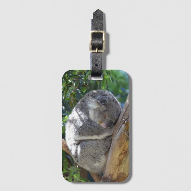 Cute Sleeping Koala in Tree Luggage Tag (Front Vertical)