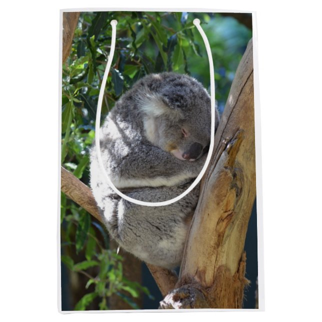 Cute Sleeping Koala in Tree Medium Gift Bag (Front)