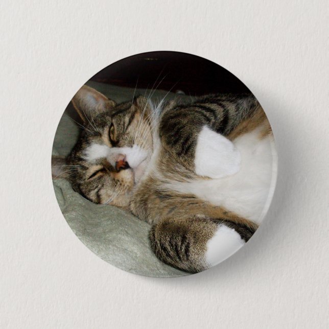 Cute Sleeping Manx Cat Photo / Cat Lover  6 Cm Round Badge (Front)