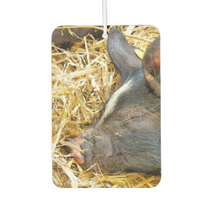 CUTE SLEEPING PIG CAR AIR FRESHENER