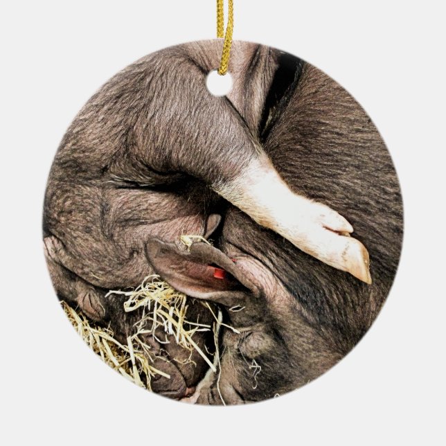 CUTE SLEEPING PIGS CERAMIC ORNAMENT (Front)