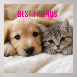 Cute Sleeping Puppy and Kitten Cuddle Poster