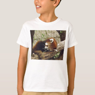 Cute Sleeping Red Panda w/ Food in It's Mouth T-Shirt