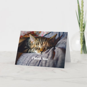 Cute Sleeping Tabby Cat Photo Thank You Card