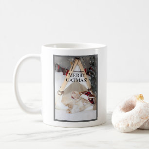 Cute Sleeping White Kitties Christmas Coffee Mug