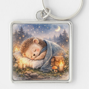 Cute Sleeping Woodland Hedgehog Key Ring