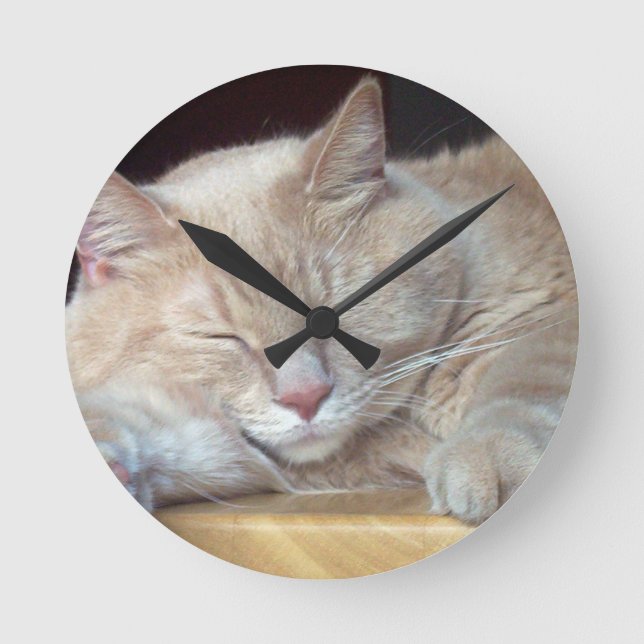 CUTE SLEEPY CAT ROUND CLOCK (Front)
