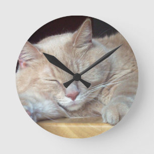 CUTE SLEEPY CAT ROUND CLOCK