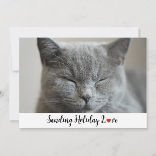 Cute Sleepy Cat Sending Holiday Love  Card