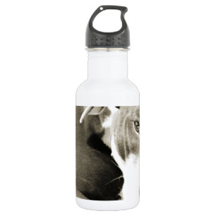 cute sleepy lazy pit bull dog 532 ml water bottle