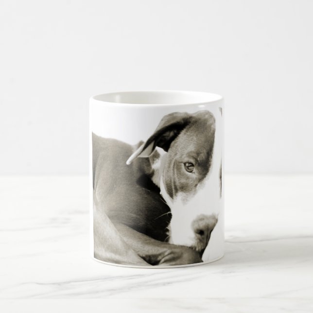 cute sleepy lazy pit bull dog coffee mug (Center)