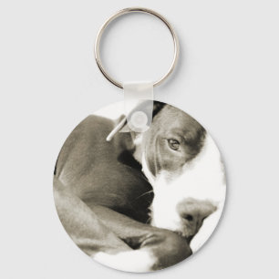 cute sleepy lazy pit bull dog key ring