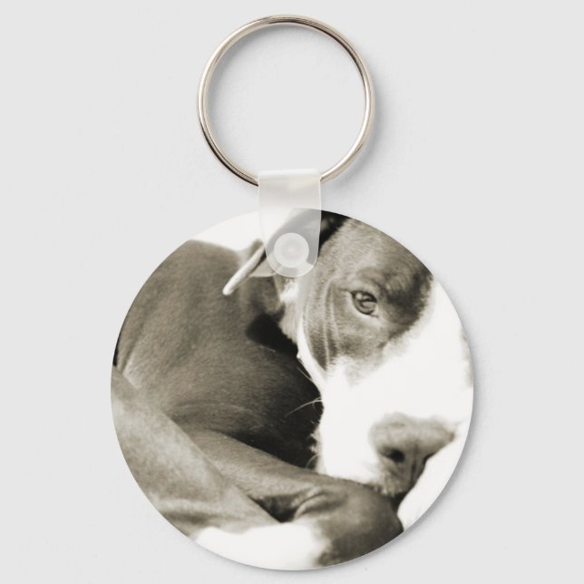 cute sleepy lazy pit bull dog key ring (Front)