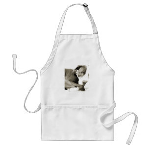 cute sleepy lazy pit bull dog standard apron