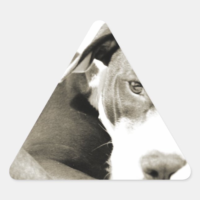 cute sleepy lazy pit bull dog triangle sticker (Front)