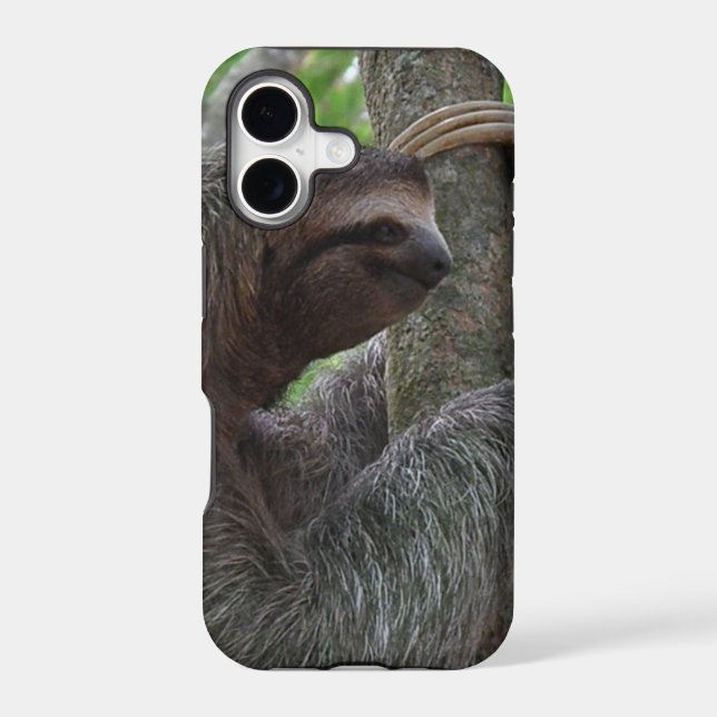 Cute Sloth (Back)