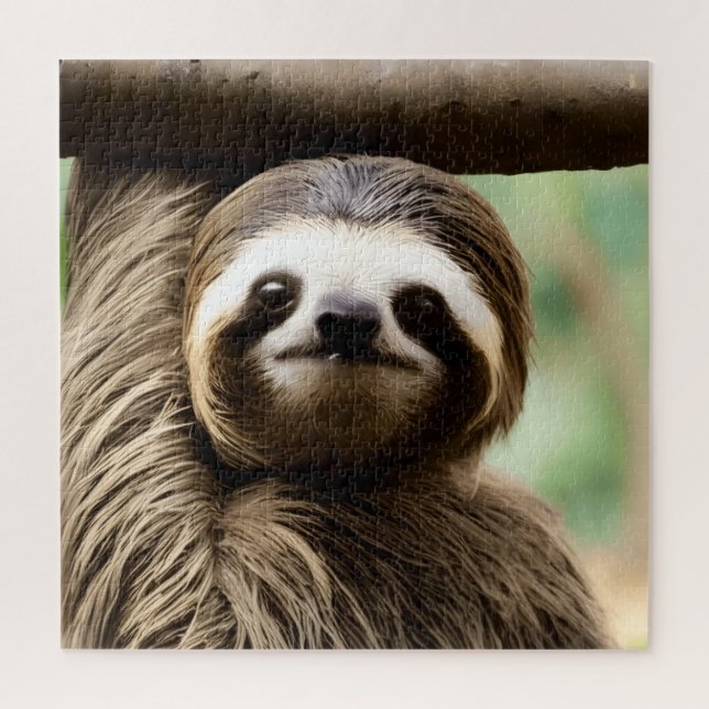Cute sloth background jigsaw puzzle (Vertical)
